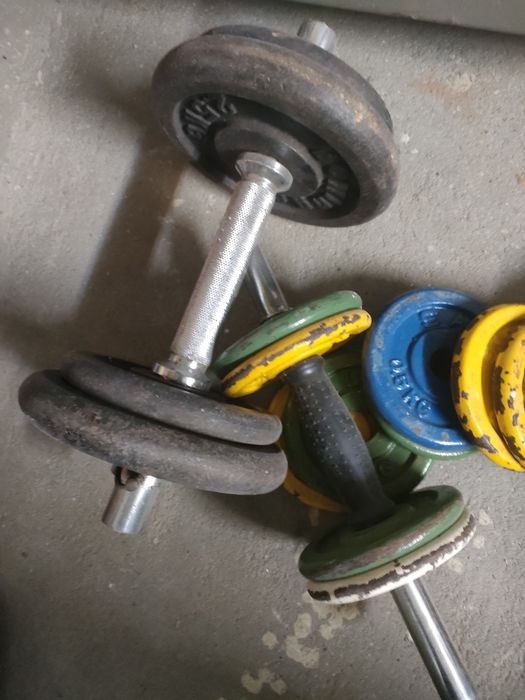 Pesos para musculação