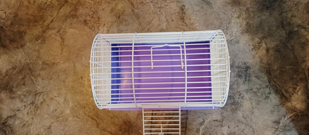 Клітка для гризунів
