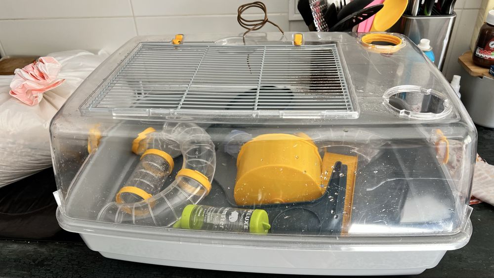 Gaiola hamster com tudo incluido