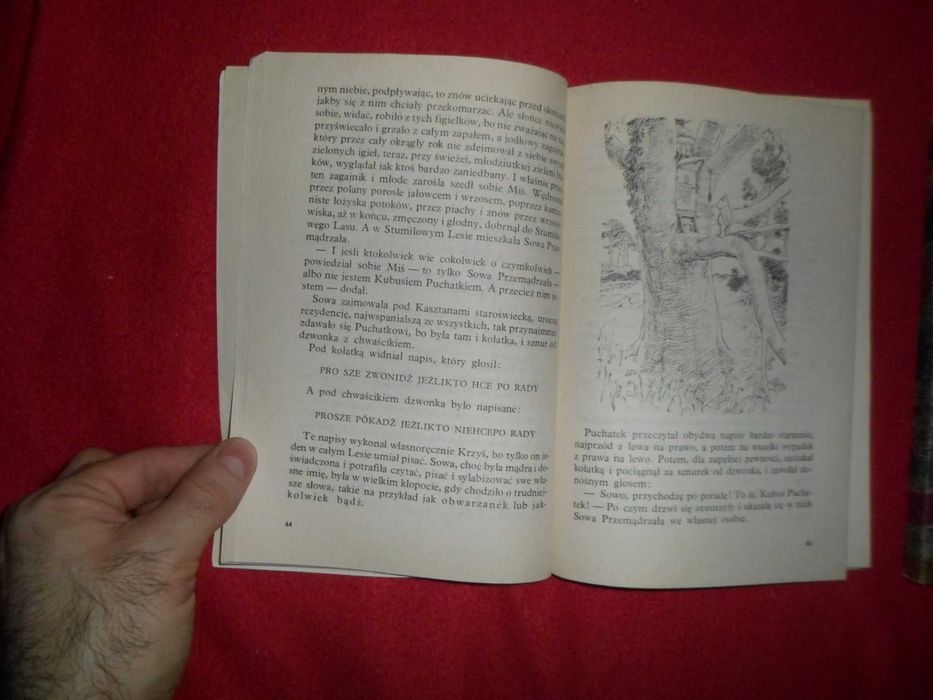 Chatka Puchatka + Kubuś Puchatek Alan Alexander Milne [2 książki]