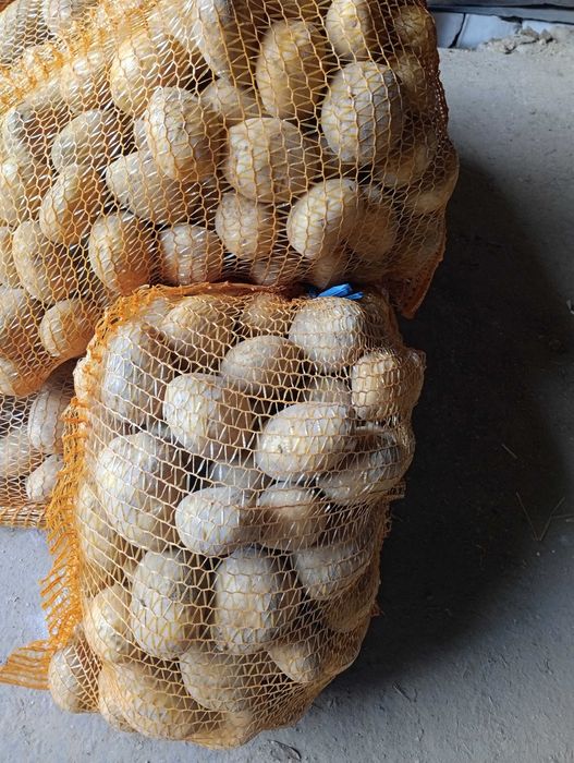 Sprzedam ziemniaki Soraya i Vineta