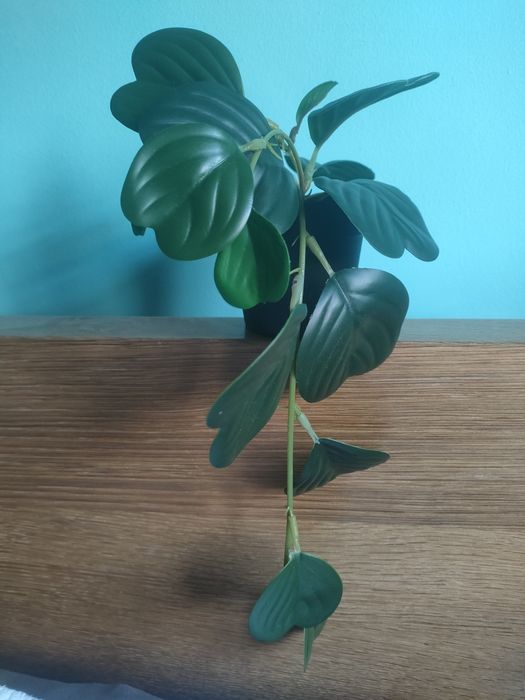 Lote de plantas artificial de  IKEA Fejka