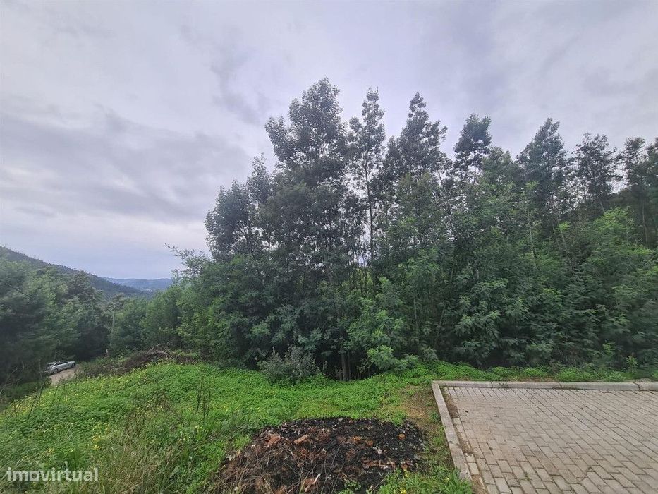 Terreno para Construção,Torres Mondego