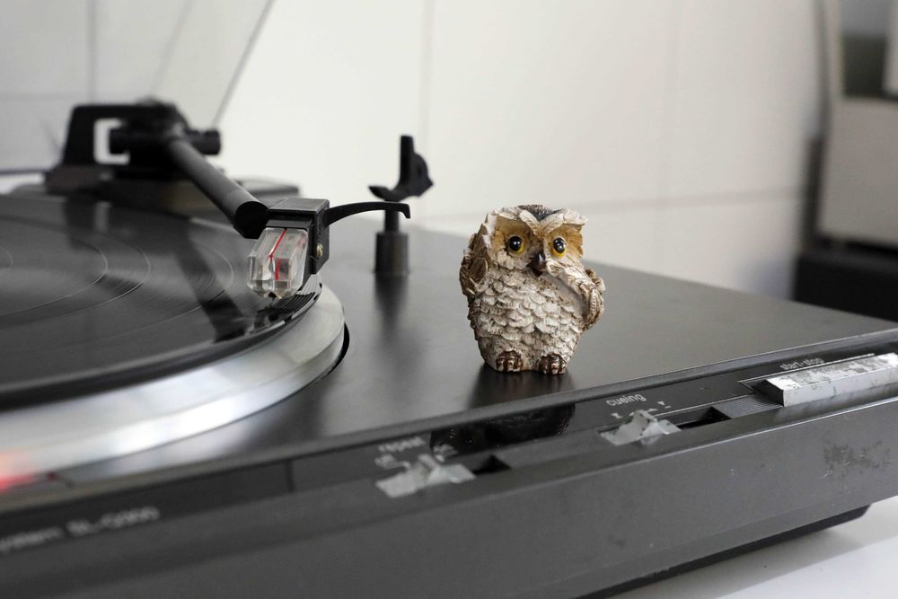 Technics SL-Q300 Direct-Drive Turntable64286572021890123