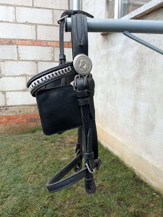 Ogłowie zaprzęgowe