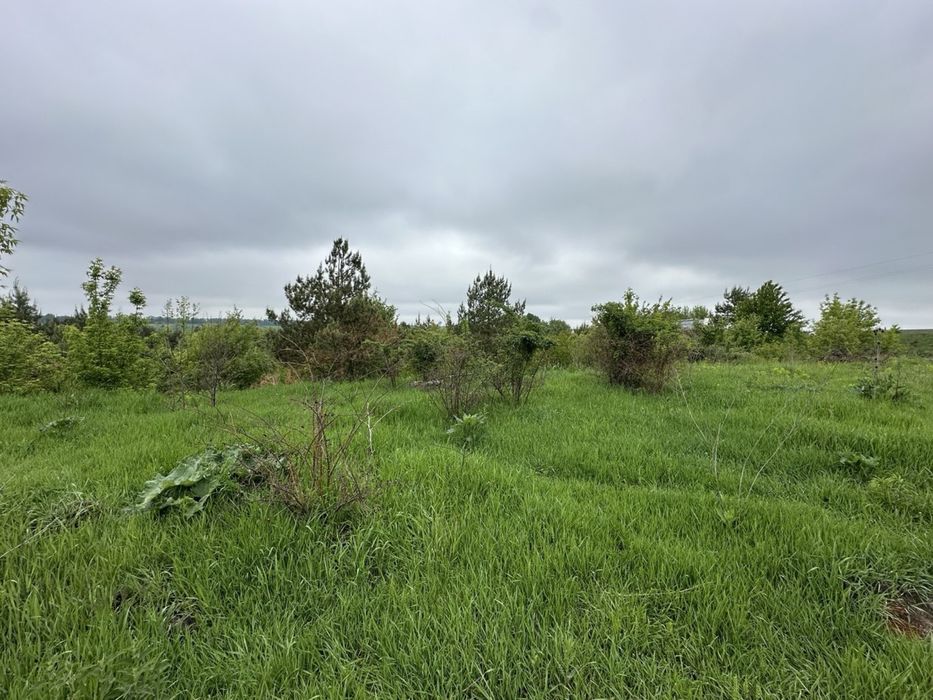 Продаж земельноі Ділянки 30 соток Епіцентр Ружична