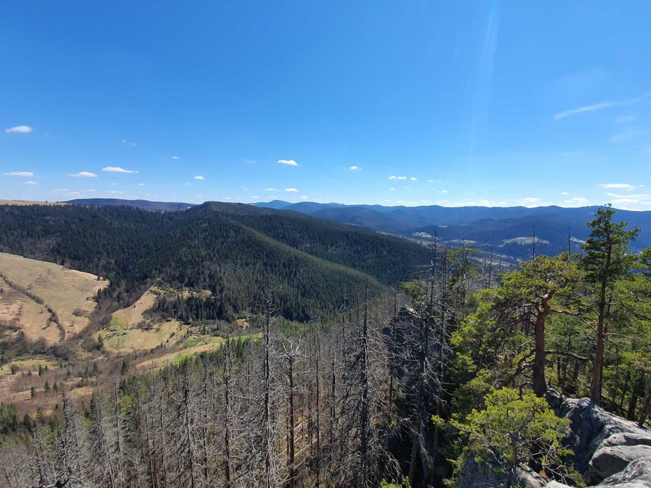 Продам Землю Карпаты Косовский район Ивано-Франковска область