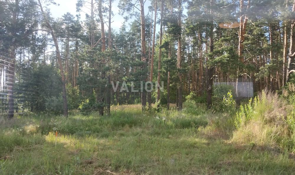 Без % Продаж будинка , Старі Петрівці Вишгородський р-н.