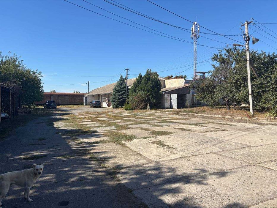 Продам овощебазу склады 1400м2 земля 1 га собственность, возле трассы