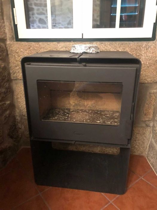 Salamandra em bom estado