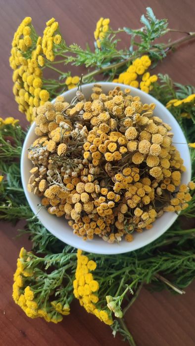 Wrotycz suszony 500 g