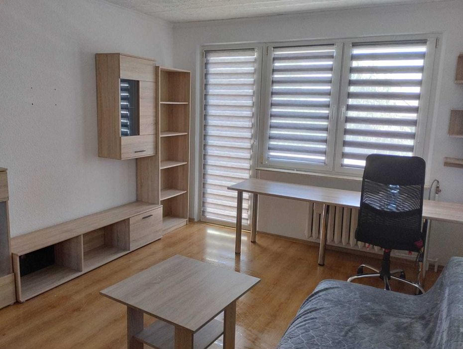 Mieszkanie, kawalerka do wynajęcia