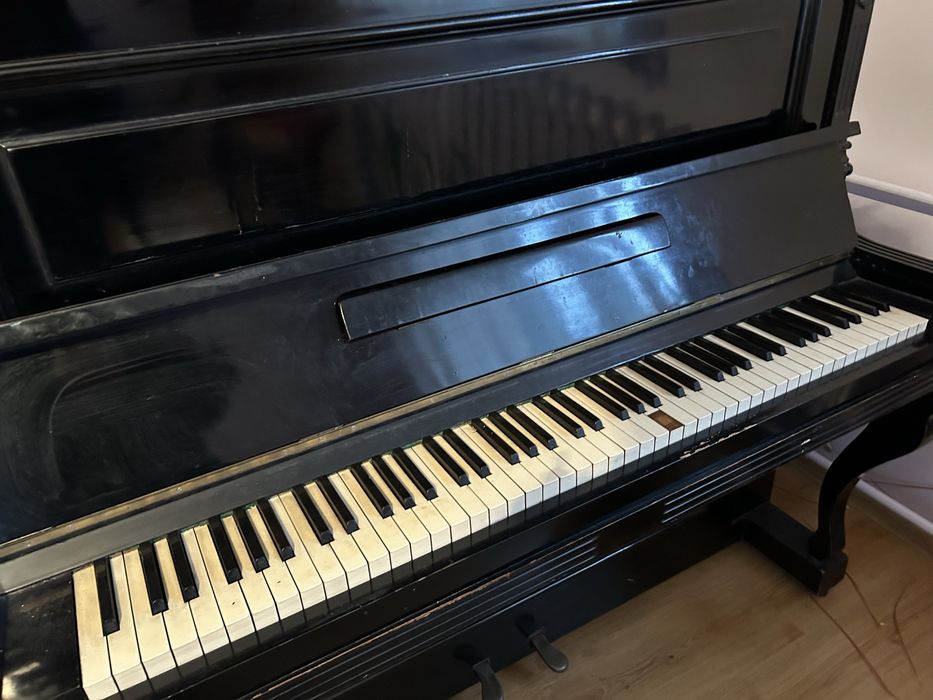 Pianino - oferta aktualna