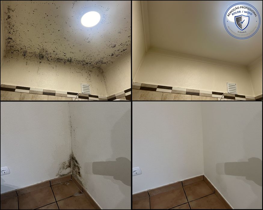 Remoção Profissional de Bolor e Mofo | Professional Mould Removal | Algarve