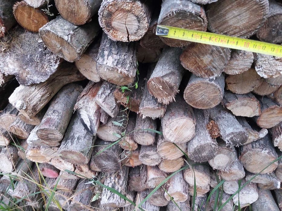 dąb kominkowy suchy drobny gałęziówka