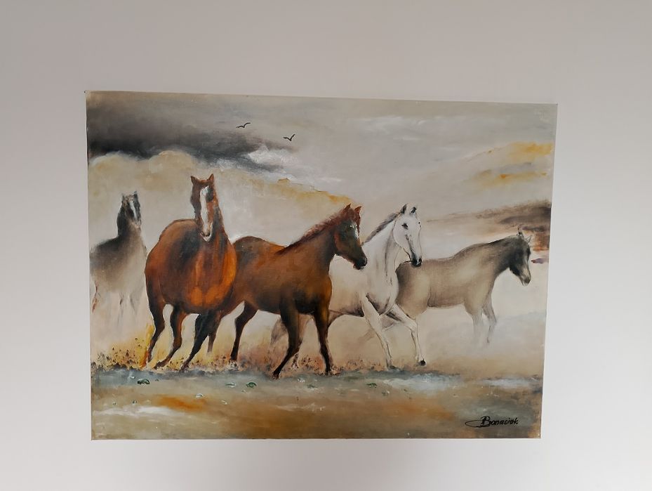 Obraz 80/60 cm konie