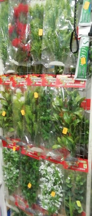 Zestaw akwariowy60x30x35