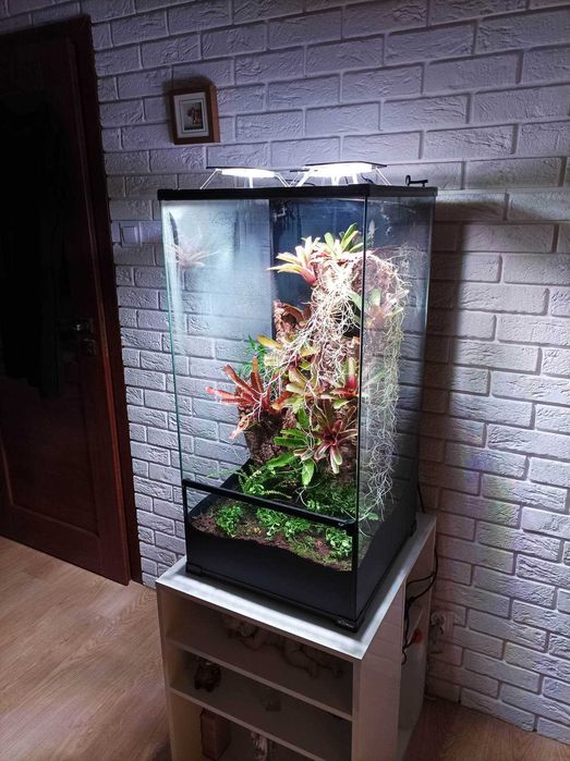 Zestaw terrarium, oświetlenie SkyLight + system zraszania