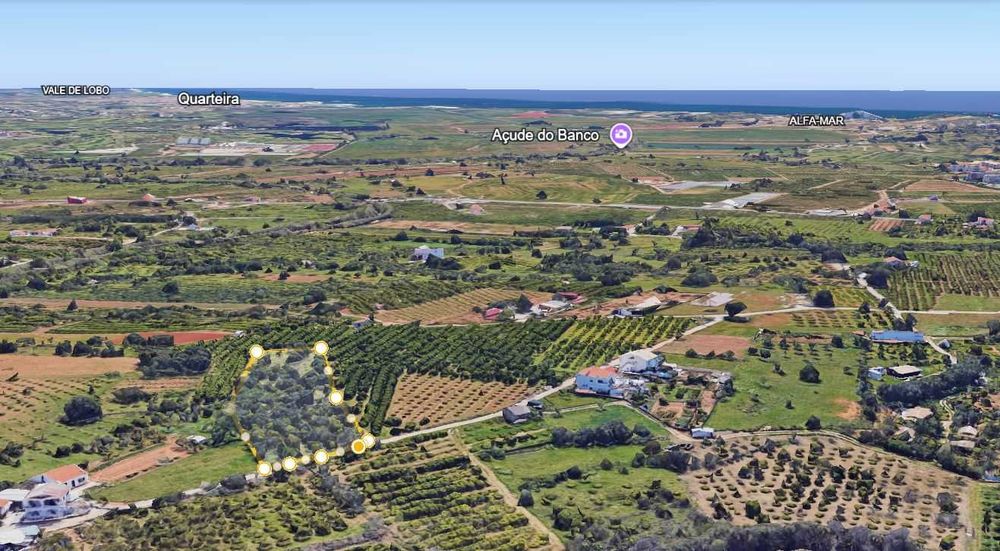 Terreno 4.280m2 Boliqueime a 10min Praia da Falésia