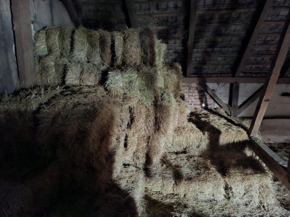 Kostki siana z prasy Zetka