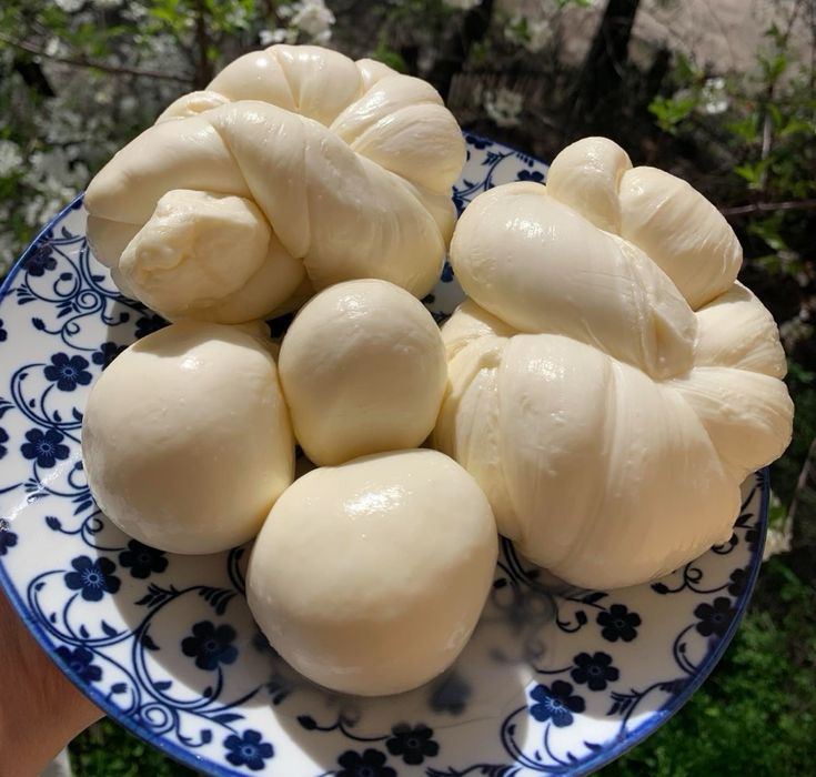 Профессиональный повар в семью.