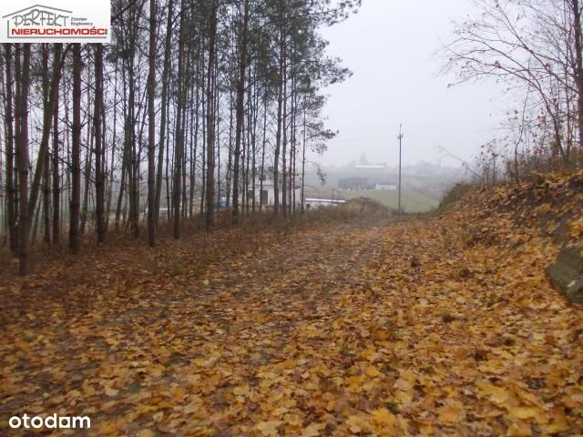 Działka, Jabłonowo Pomorskie