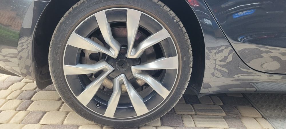 Tesla Model 3 2025 VIN 5YJ3E1EB4SF964054 фото оголошення 11 з 15