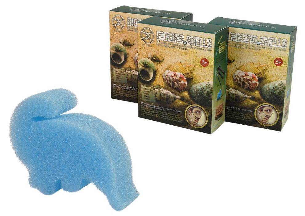 Archeologiczne wykopaliska muszle muszelki gips