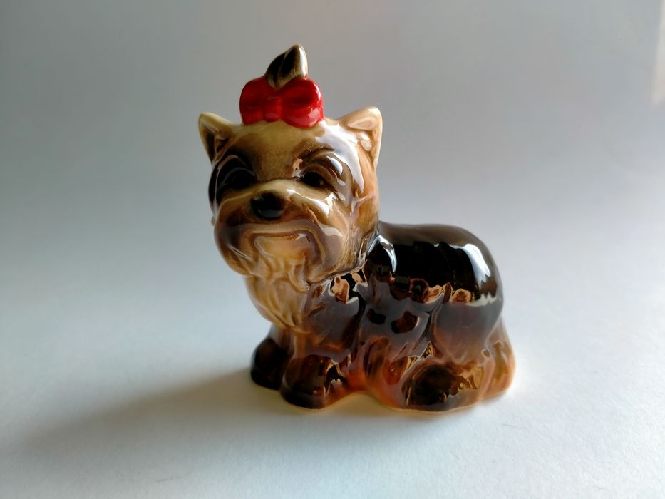 Yorkshire Terrier Goebel