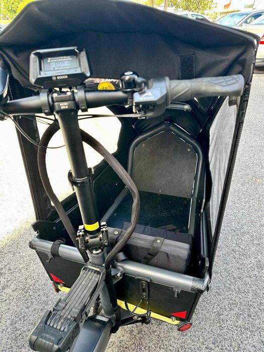 Bicicleta carga Riese & Muller Load 75 vario