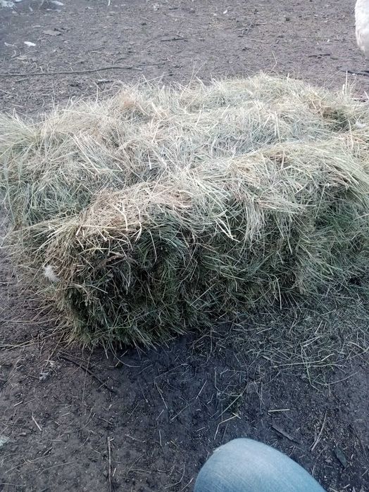 Сіно в тюках, різнотрав'я