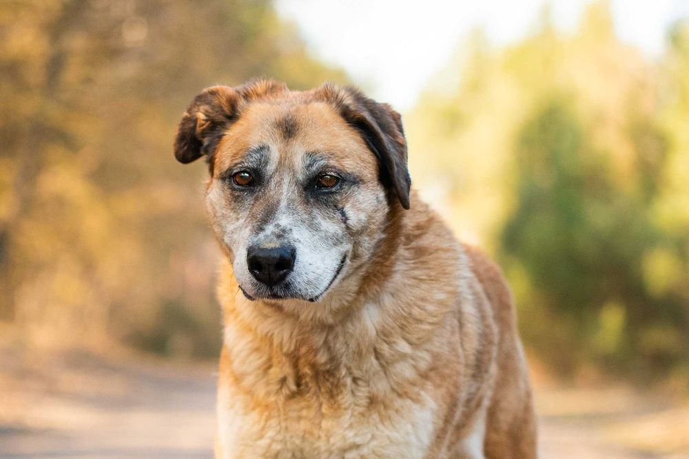energiczna i mądra MELINDA