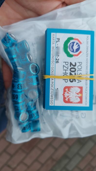 Obrączki dla gołębi pocztowych  PZHGP 2026