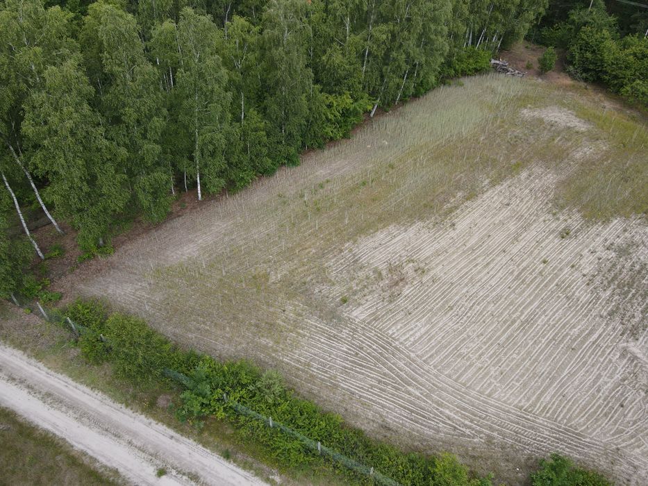 Działka budowlana 7800m2. Puszcza Kozienicka
