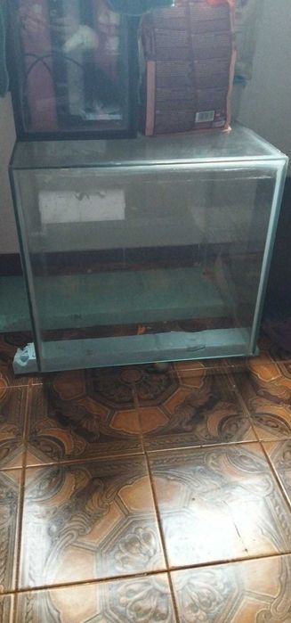 Aquário cubo 40*40*40