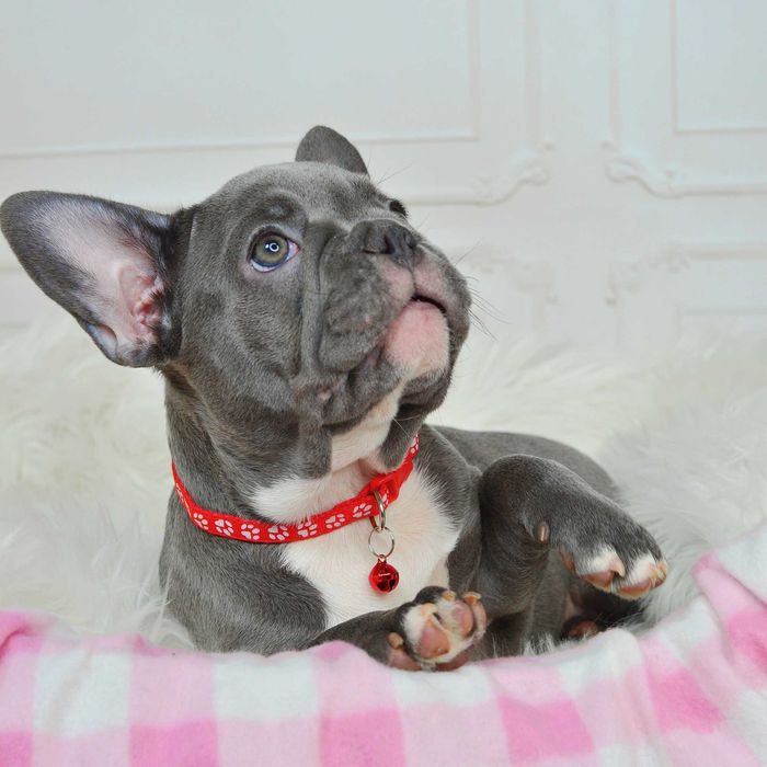 !!!Прекрасні малюки у пошуках люблячих родин!!!