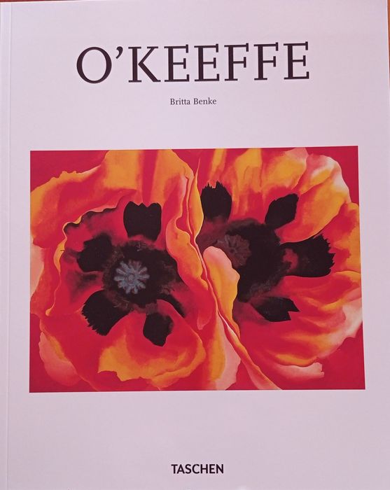 Pintores ( livros sobre a sua biografia)