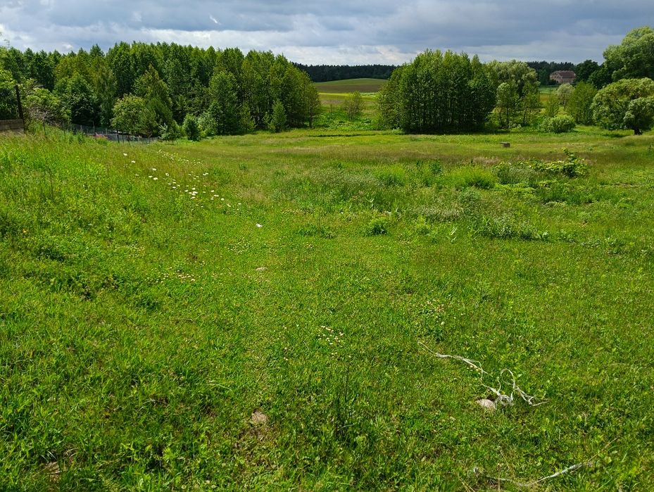 Mazury Działka k. Ełku - Widok 2