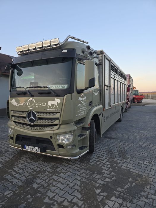 Samochód do przewozu zwierząt bydła żywca Mercedes Actros