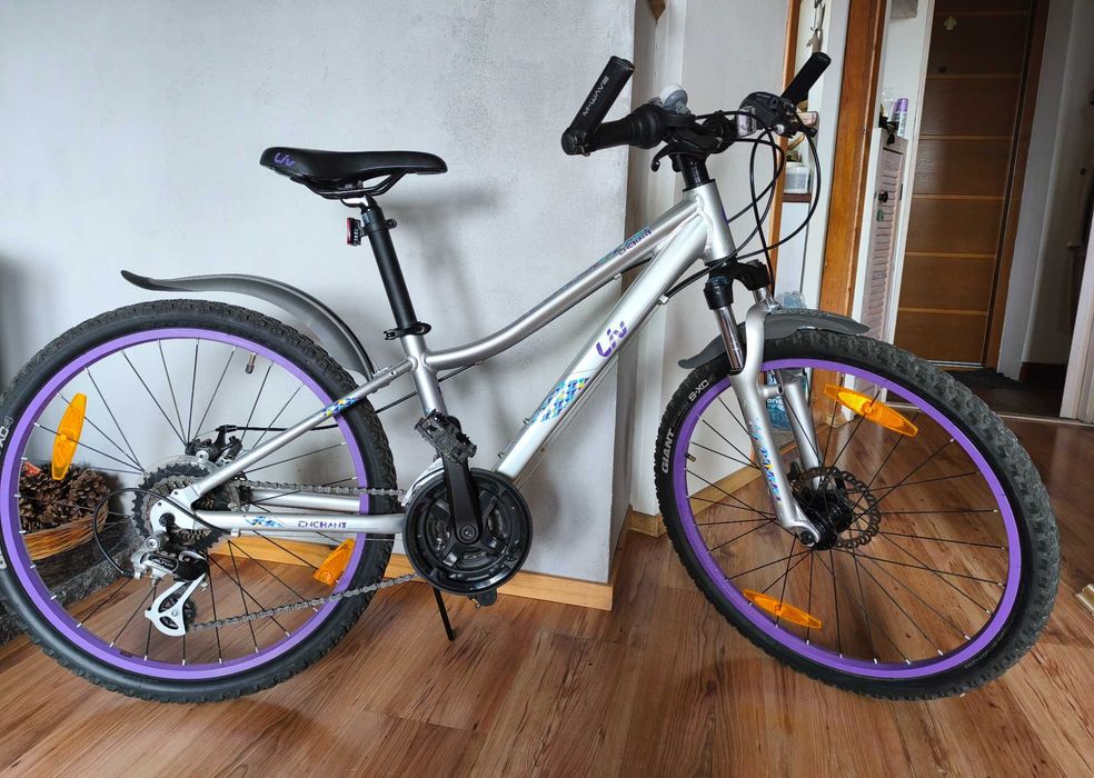 Rower Giant Live Enacht 24