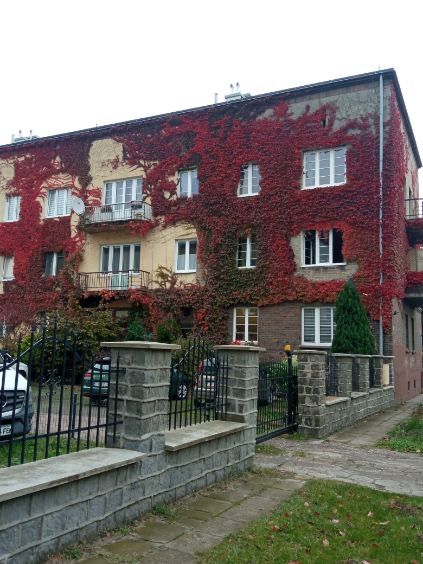 Mieszkanie 65 m² Oksywie, ul. Śmidowicza