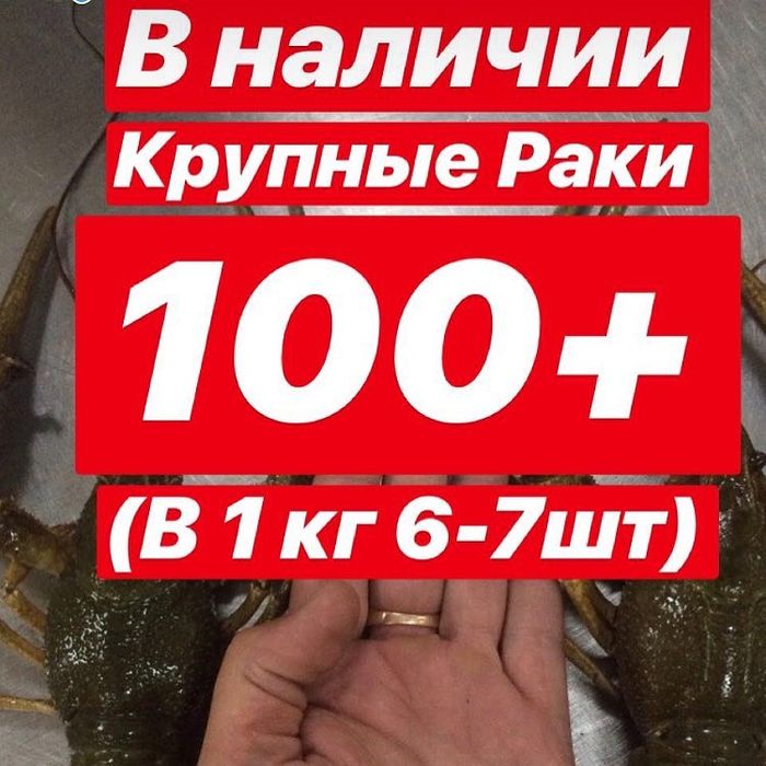 Раки на Правде. Все размеры!