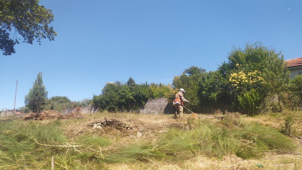 Limpeza de terrenos