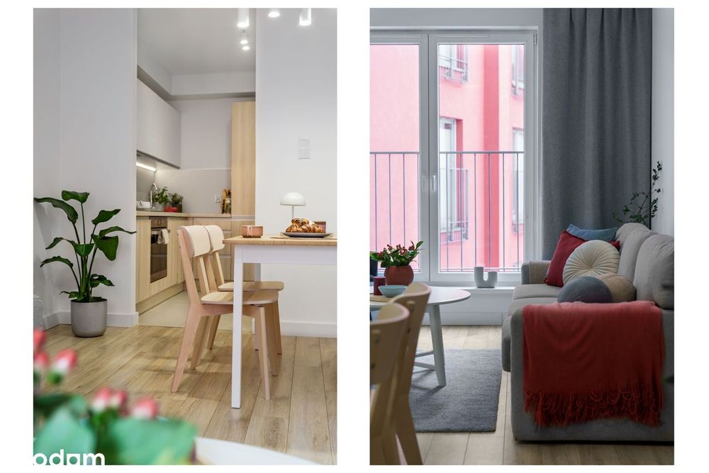 Bez prowizji i ukrytych kosztów I Zwierzęta mile widziane I Dostępne