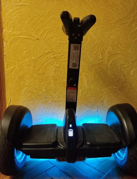 Seagwey ninebot mini pro