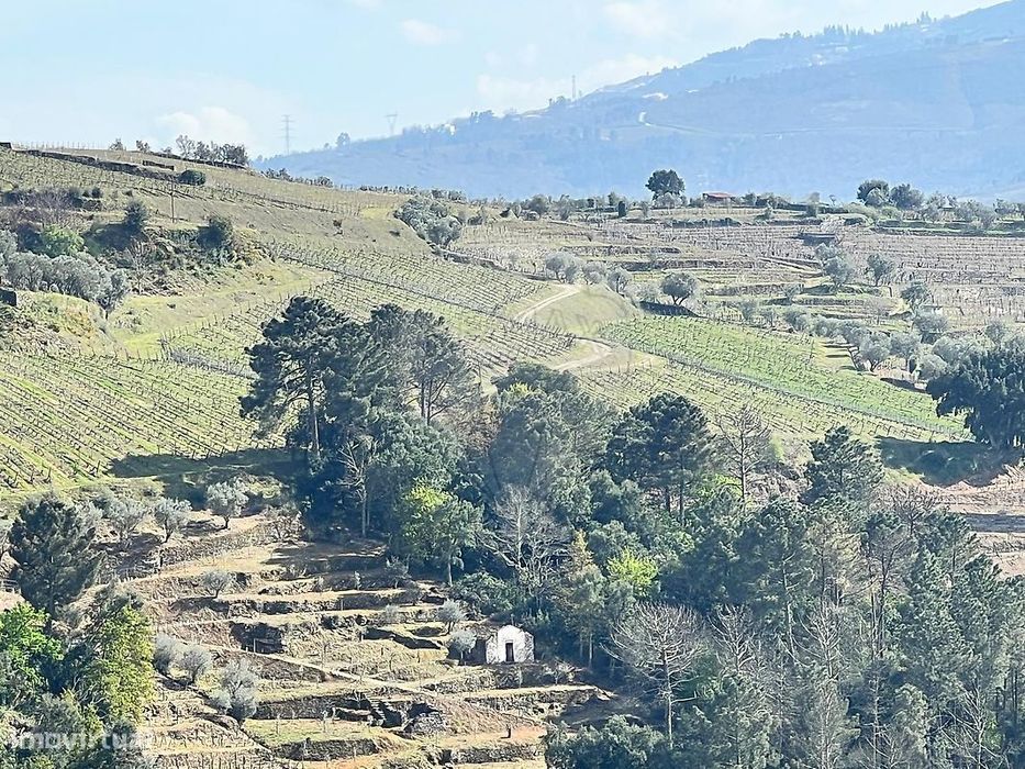 Terreno  para venda — Vila Marim, Vila Real