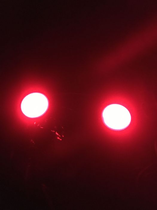 Kostium Kata, Śmierci, Zjawy  strój karnawałowy