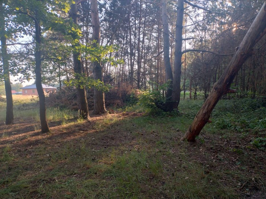 Działka 10 ar – Pogórska Wola, 10 km od Tarnowa - Widok 4