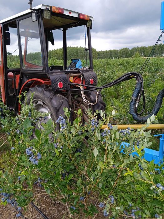 Kombajn braud do borówki porzeczki aronii itd
