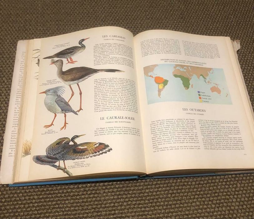 Livro anos edição anos 60 de pássaros